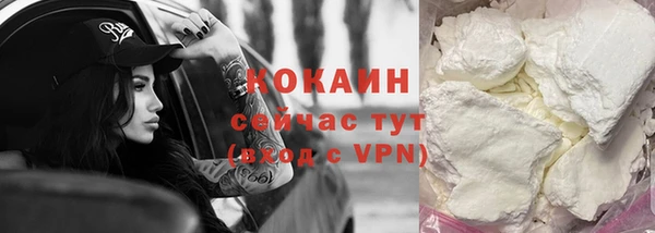молекула духа Ельня