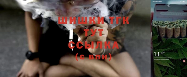 крисы Армянск
