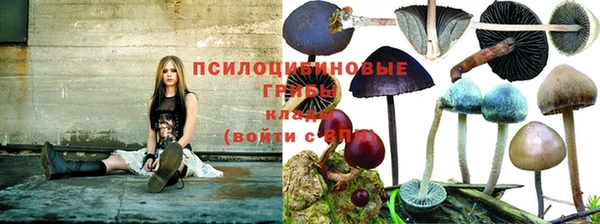 крисы Армянск