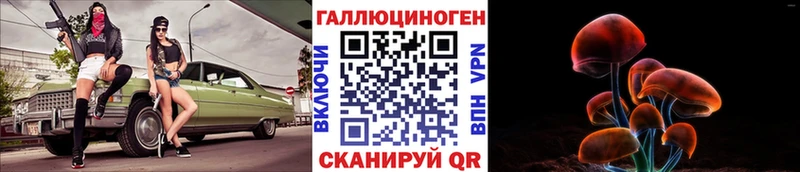Псилоцибиновые грибы Psilocybe  Вихоревка 